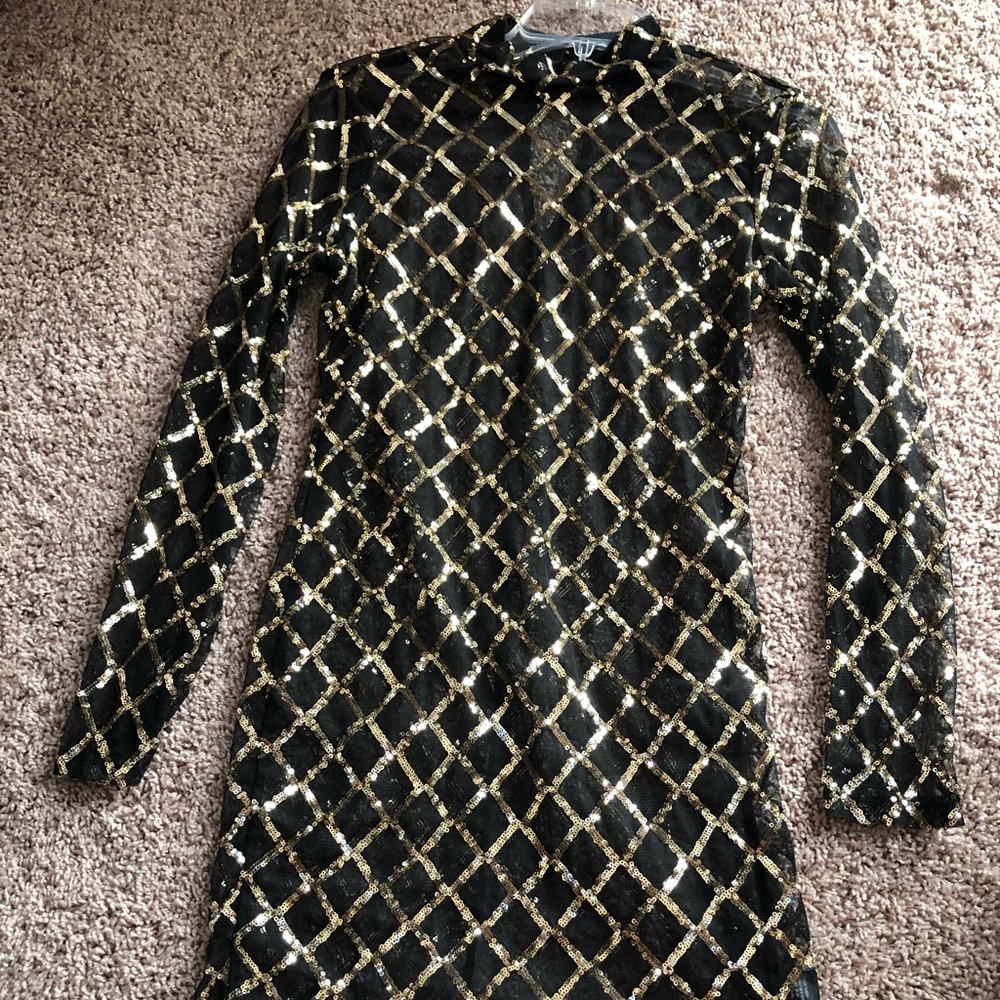 Mesh See Through Mini Dress